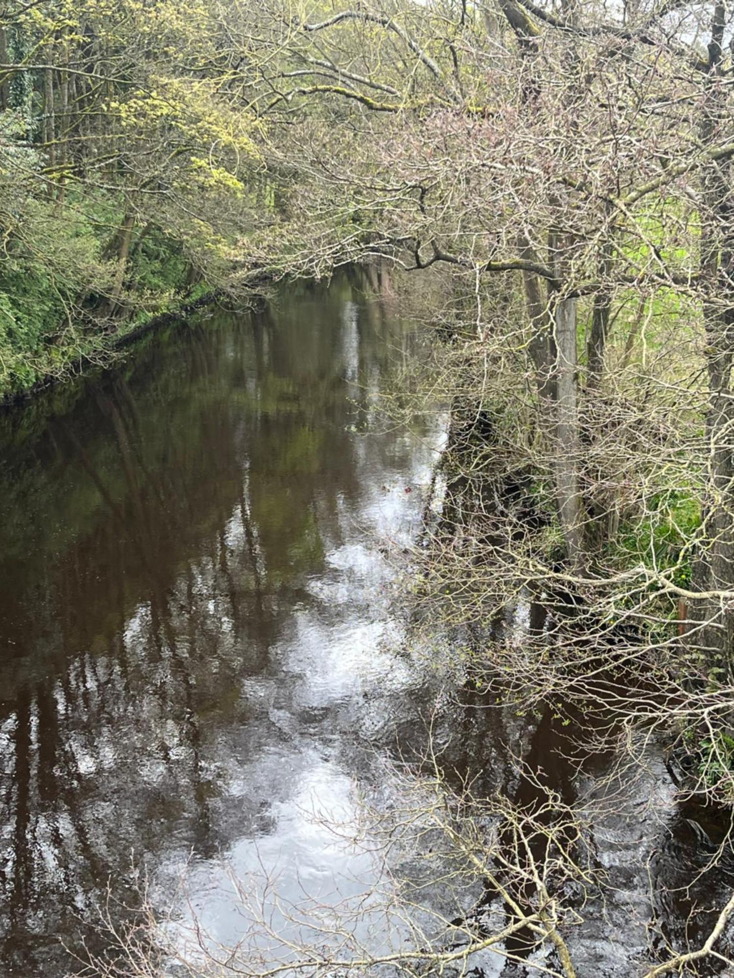 Parkside Villa Pateley Bridge Bagian luar foto